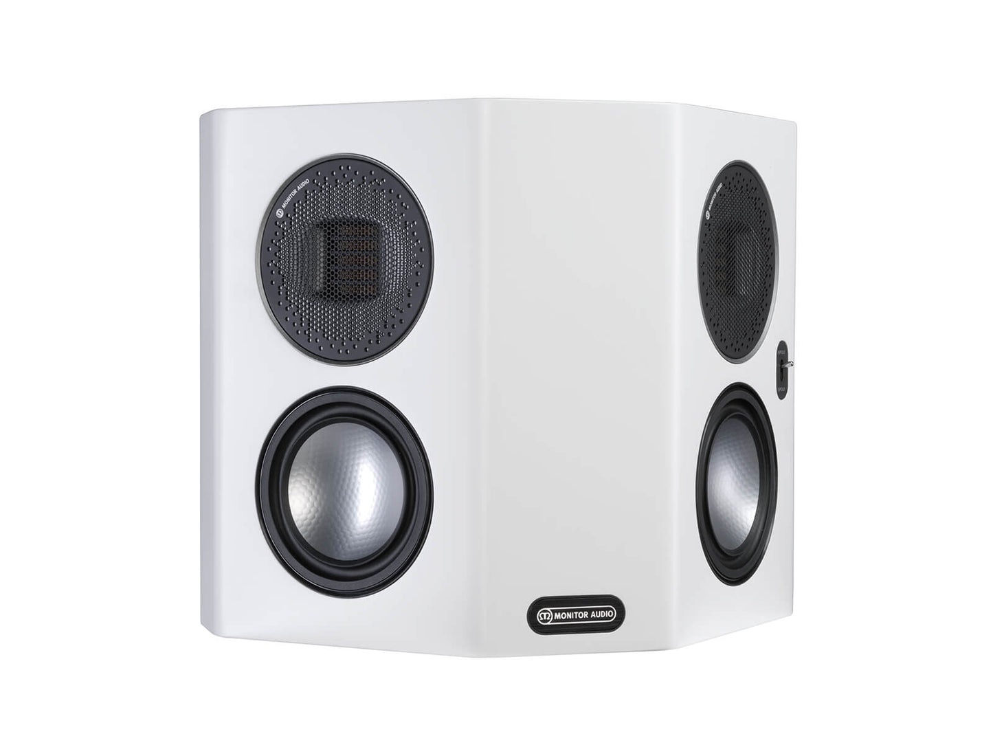 Gold FX Altavoz Hi-Fi Surround Monitor Audio - Par